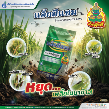 Artboard 9AW แอ็กมีแซม AG ปี69 Web